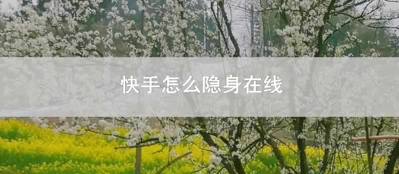 快手怎么隐身在线