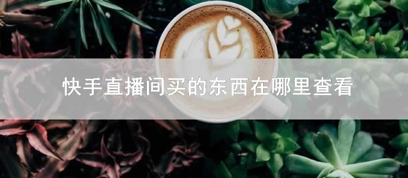 快手直播间买的东西在哪里查看