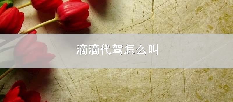 滴滴代驾怎么叫