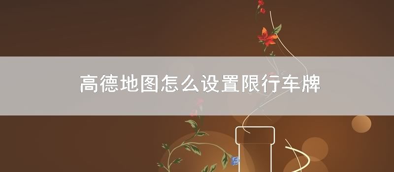 高德地图怎么设置限行车牌