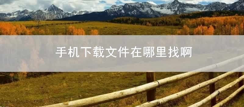 手机下载文件在哪里找啊