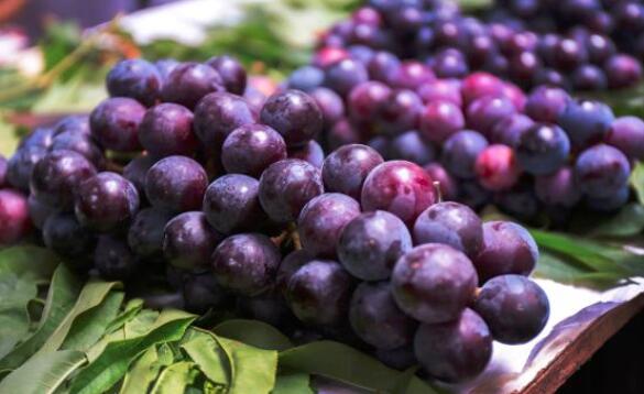 月經期間能吃葡萄嗎