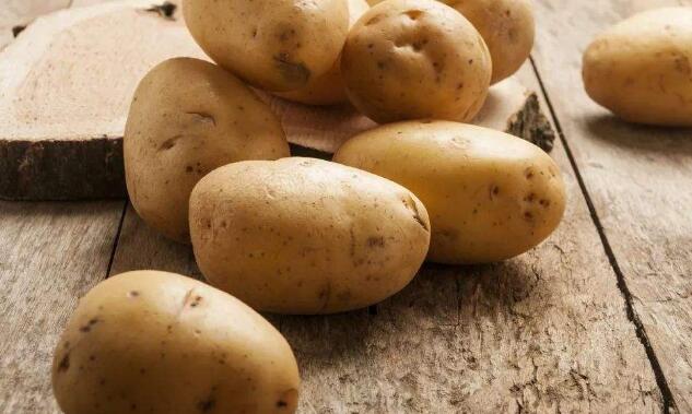 經期吃土豆能豐胸嗎