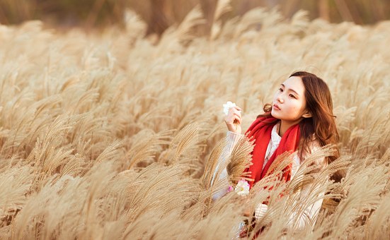 女性養顏祛斑喝什麼茶品好