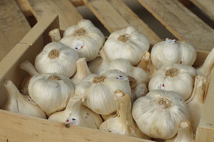 春季適合女性食用的養生食物