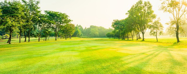 夢見公園是什麼意思 夢到公園有哪些征兆