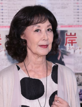 岸惠子 Keiko Kishi 惠子 きし けいこ