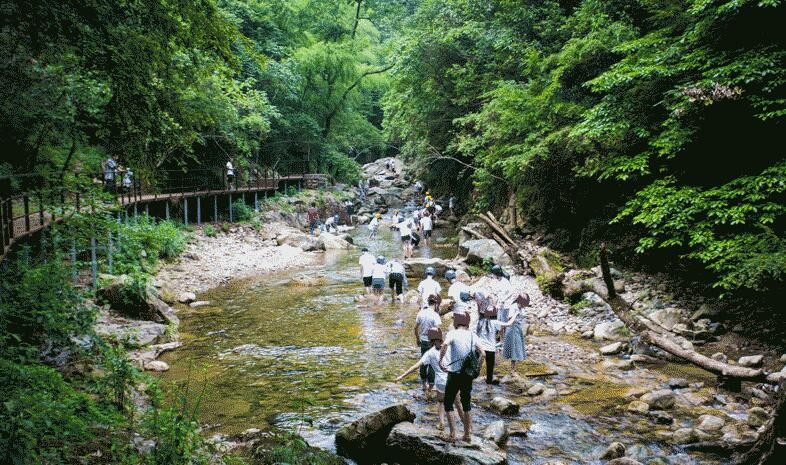 醉山野旅遊攻略