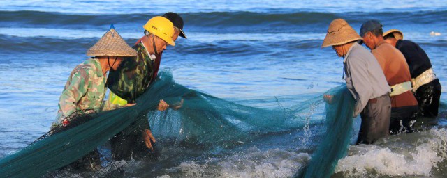 魚池一噸水放多少鹽 魚池一噸水要放很多鹽嗎