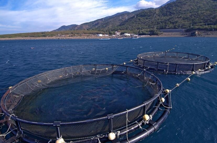 冬季養魚要做好什麼準備