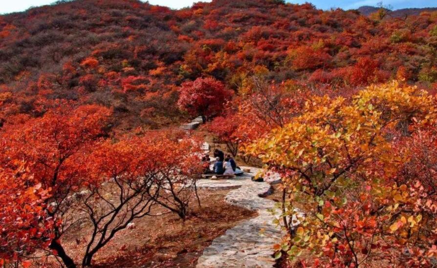 北京坡峰嶺在哪