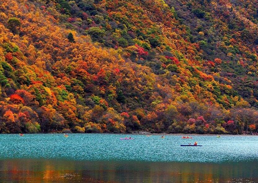 松坪溝看紅葉最佳時間是什麼時候