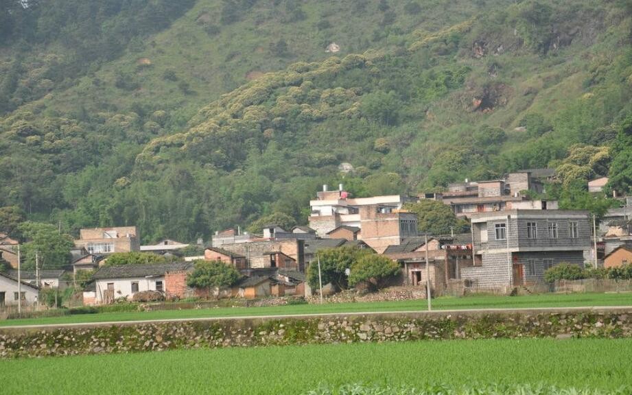 農村稻田能建房嗎