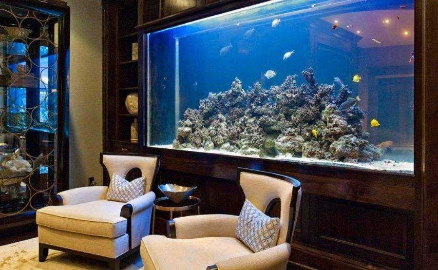 魚缸凈水劑多久加一次