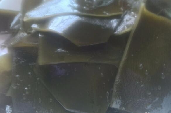 清燉海帶鴨肉湯怎麼做