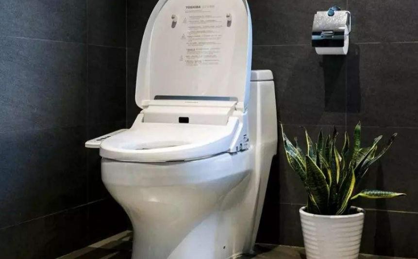 襪子進入馬桶怎麼補救