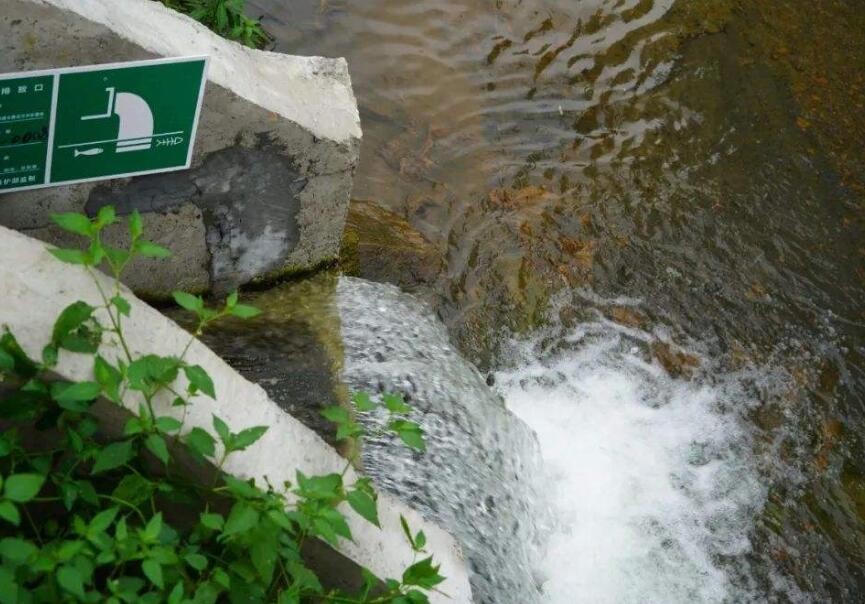 生活污水氨氮超標怎麼處理呢