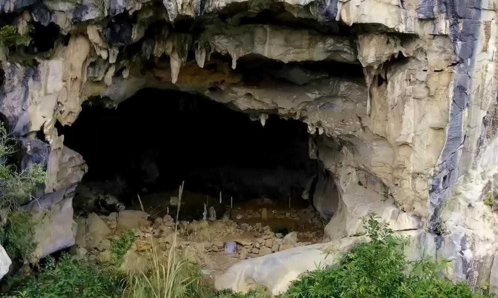 山洞種植養殖什麼好