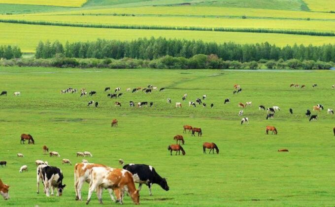 歐洲西部畜牧業發達的有利條件是什麼