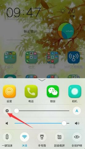 vivo反轉顏色在哪裡設置