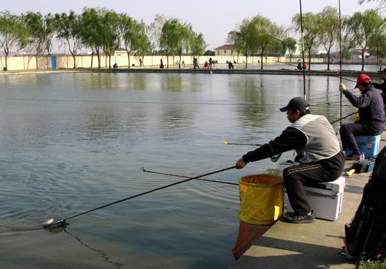 水淺釣魚用什麼漂