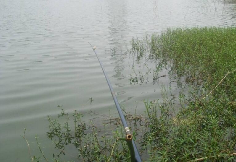 渾水釣魚釣深還是淺