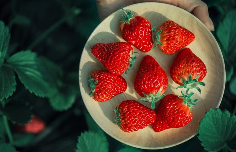 什麼食物不合適放冰箱