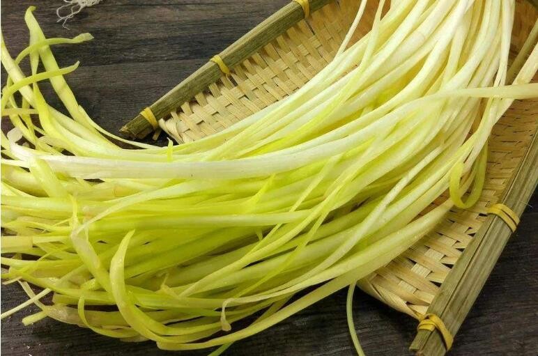韭黃的種植方法是什麼