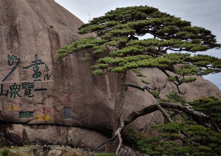 黃山旅遊註意事項是什麼