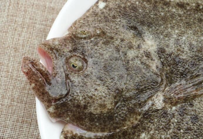 多寶魚怎麼去腥