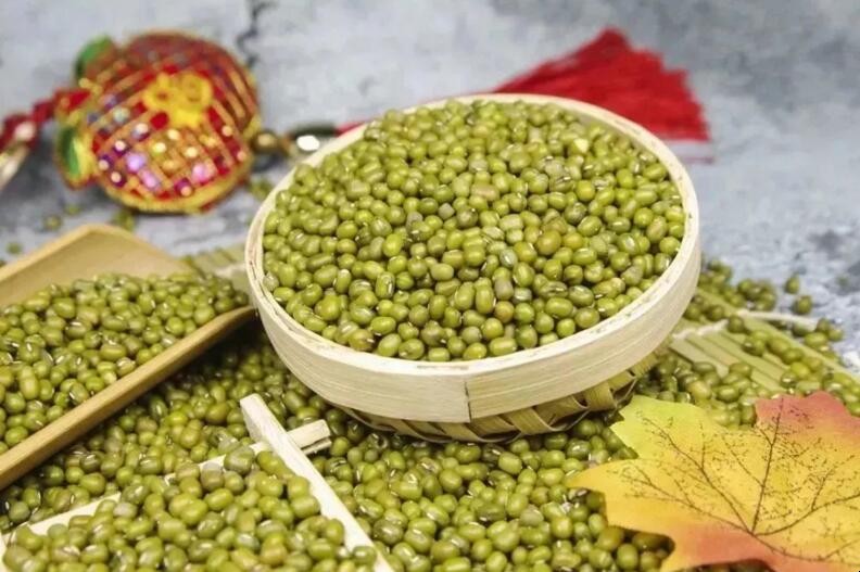 如何提高綠豆產量