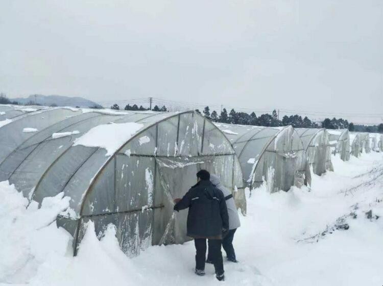 養殖遇到雪災該怎麼辦