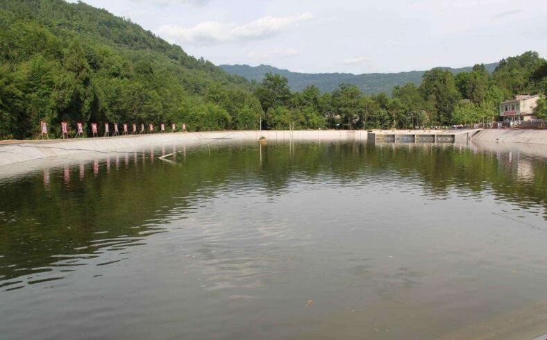 池塘怎麼養魚不容易死