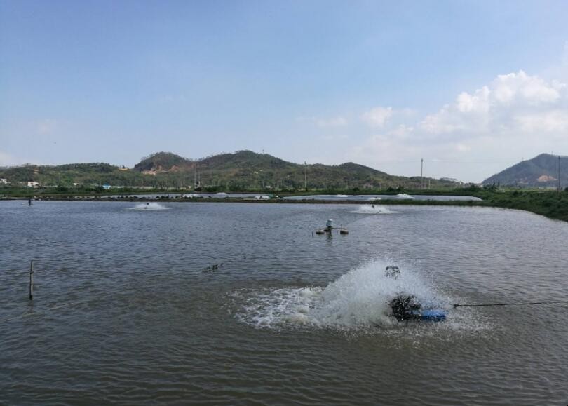 冬季魚塘如何增氧