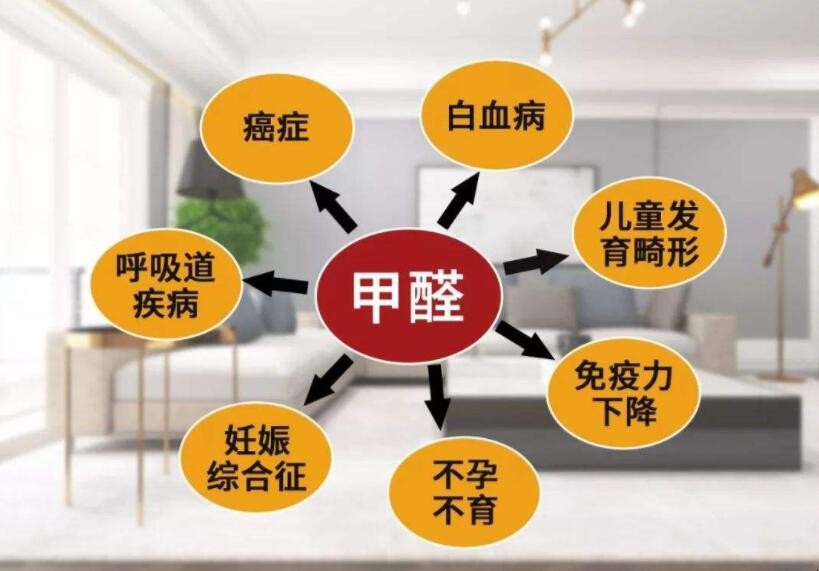 如何去除室內甲醛