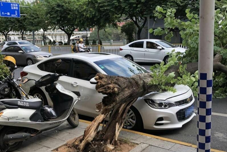 汽車被高空墜物砸瞭保險賠嗎