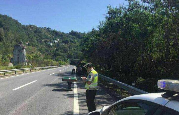 高速路上出瞭事故怎麼樣報保險