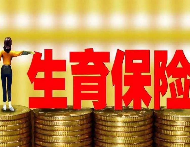 生育基金領取條件有哪些