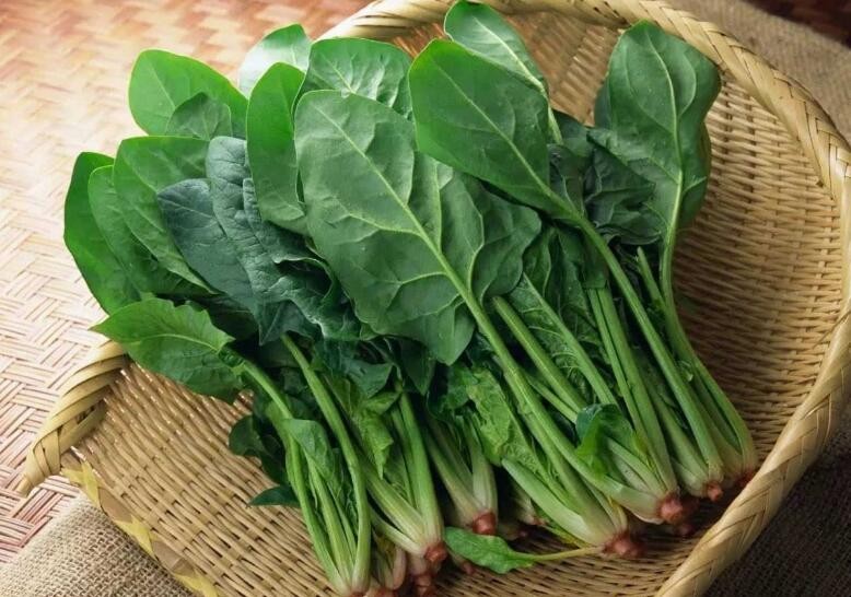 菠菜怎麼保存