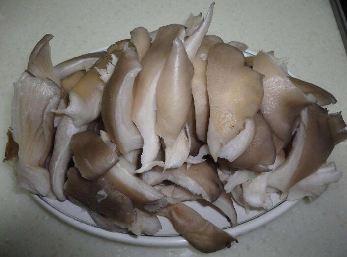 平菇怎麼保存新鮮