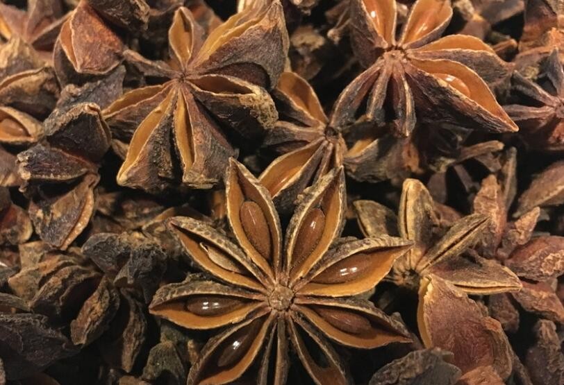 八角辨別真假的方法是什麼