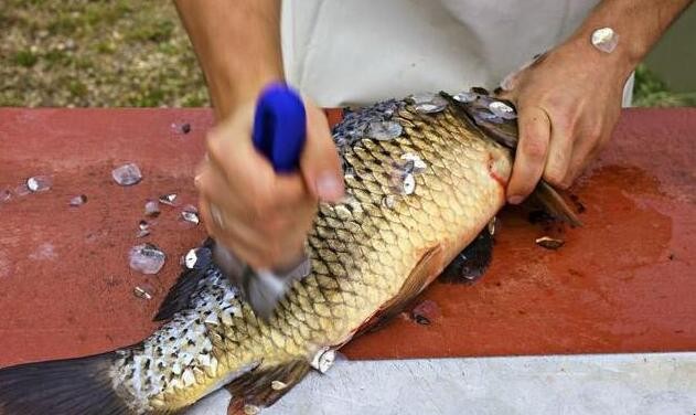 有什麼去魚鱗的技巧