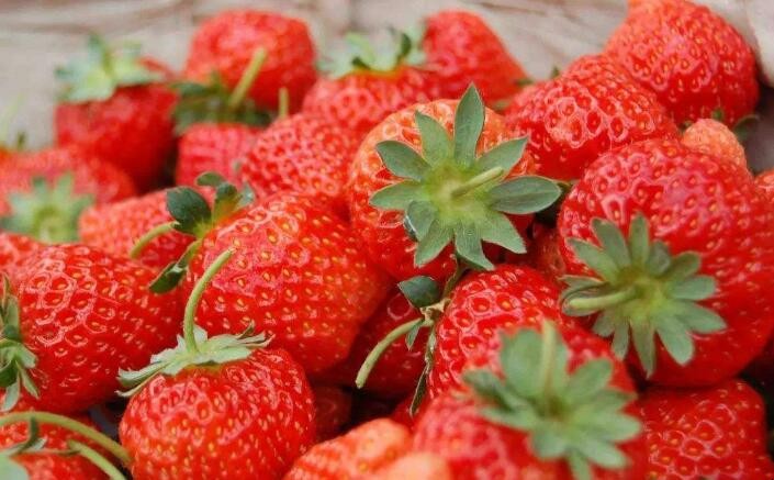 如何辨別草莓是否有膨大劑