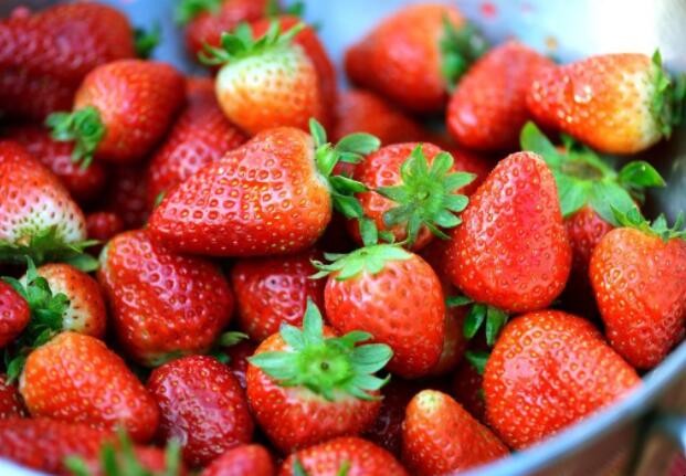 如何挑選草莓