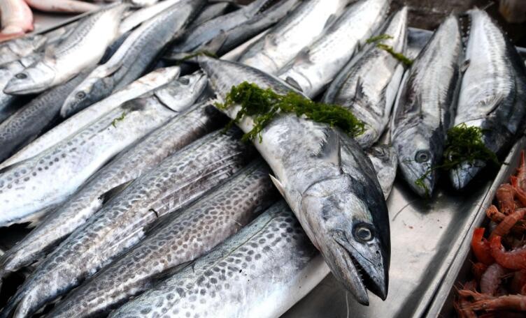 鮁魚怎麼去腥比較好