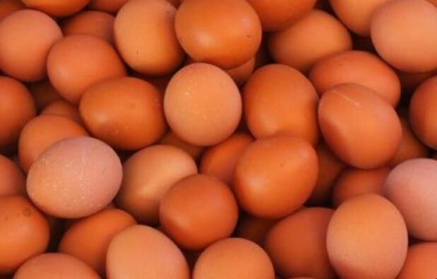 紅皮雞蛋和白皮雞蛋有什麼區別