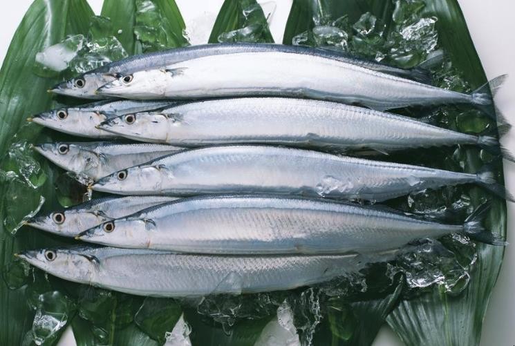 秋刀魚能保存多長時間