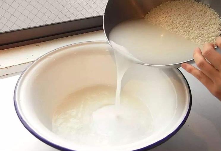 淘米水能洗白衣服嗎