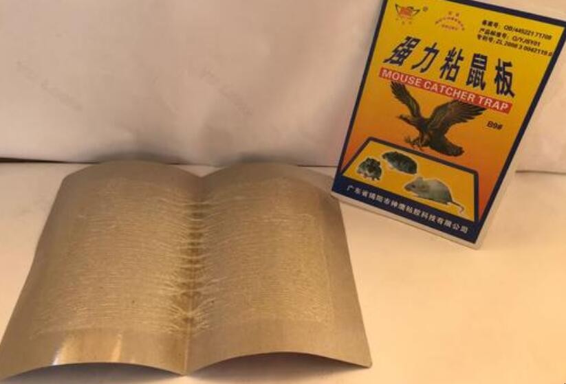 老鼠板上的膠怎麼洗掉