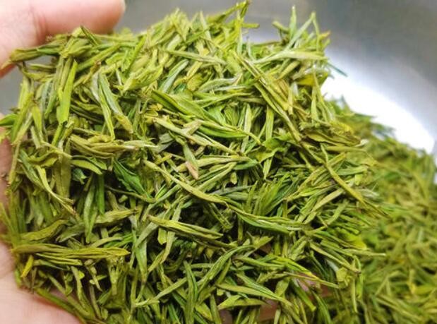 新茶放冷凍還是冷藏呢